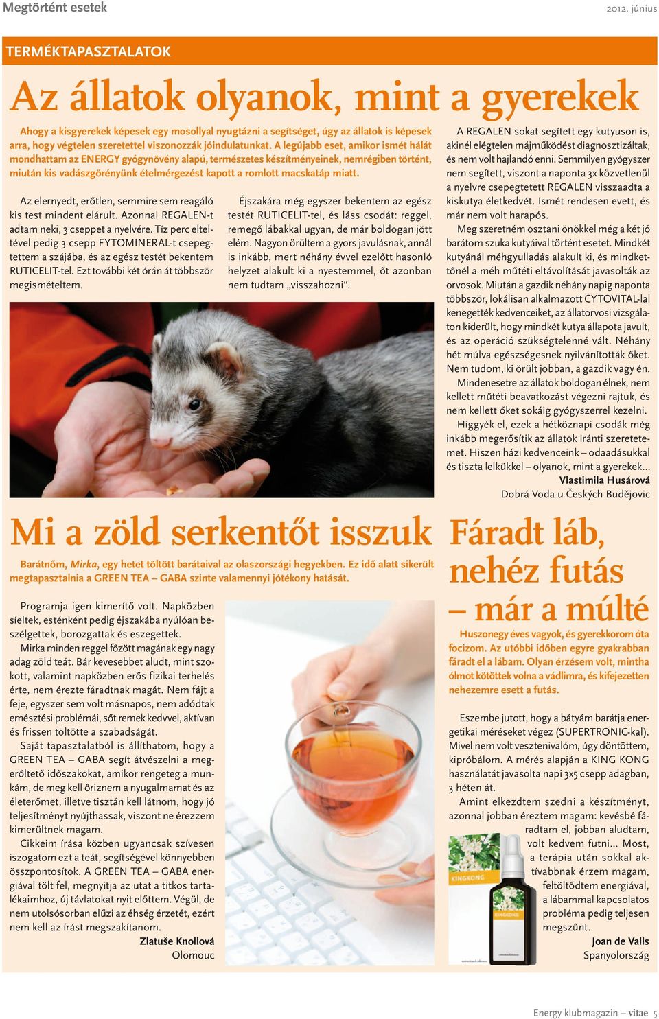 A legújabb eset, amikor ismét hálát mondhattam az ENERGY gyógynövény alapú, természetes készítményeinek, nemrégiben történt, miután kis vadászgörényünk ételmérgezést kapott a romlott macskatáp miatt.