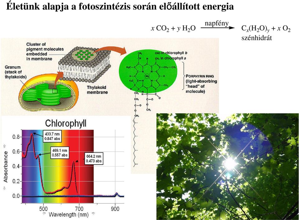 előállított energia x 2 +