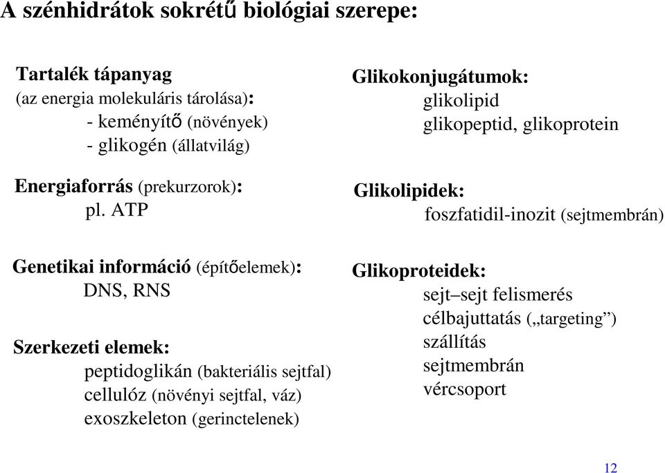 ATP Genetikai információ (építőelemek): DNS, RNS Szerkezeti elemek: peptidoglikán (bakteriális sejtfal) cellulóz (növényi sejtfal, váz)