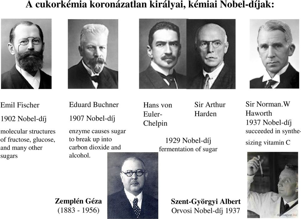 dioxide and alcohol. ans von Euler- helpin Sir Arthur arden 1929 Nobel-díj fermentation of sugar Sir Norman.
