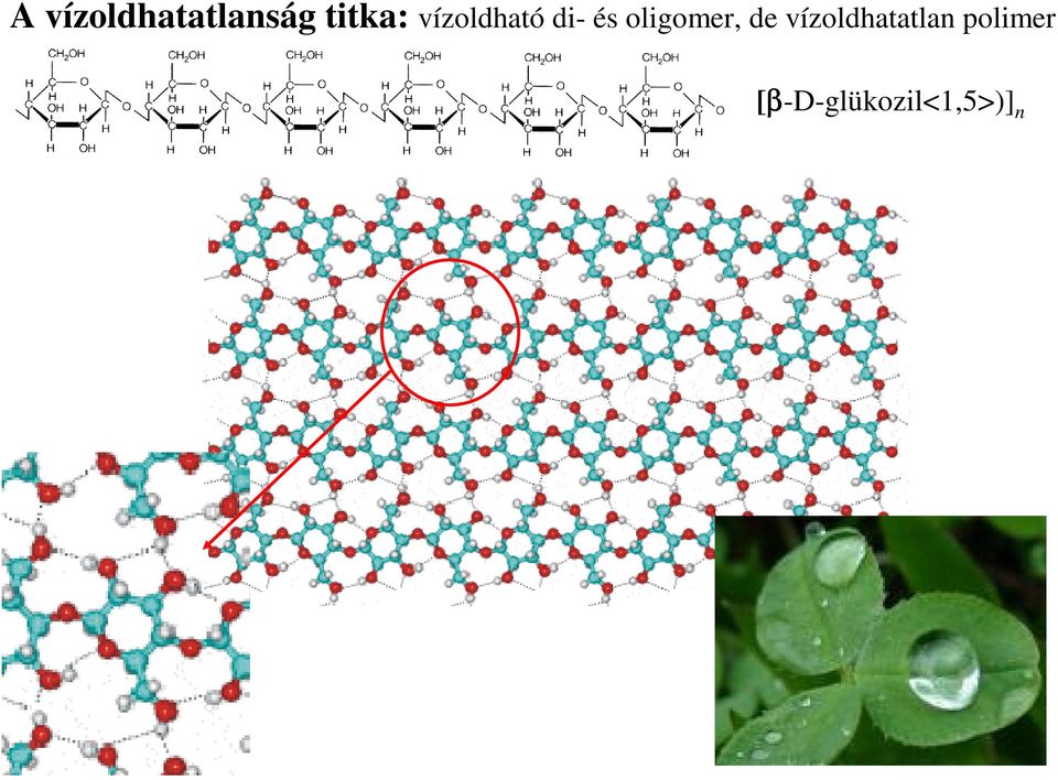 oligomer, de