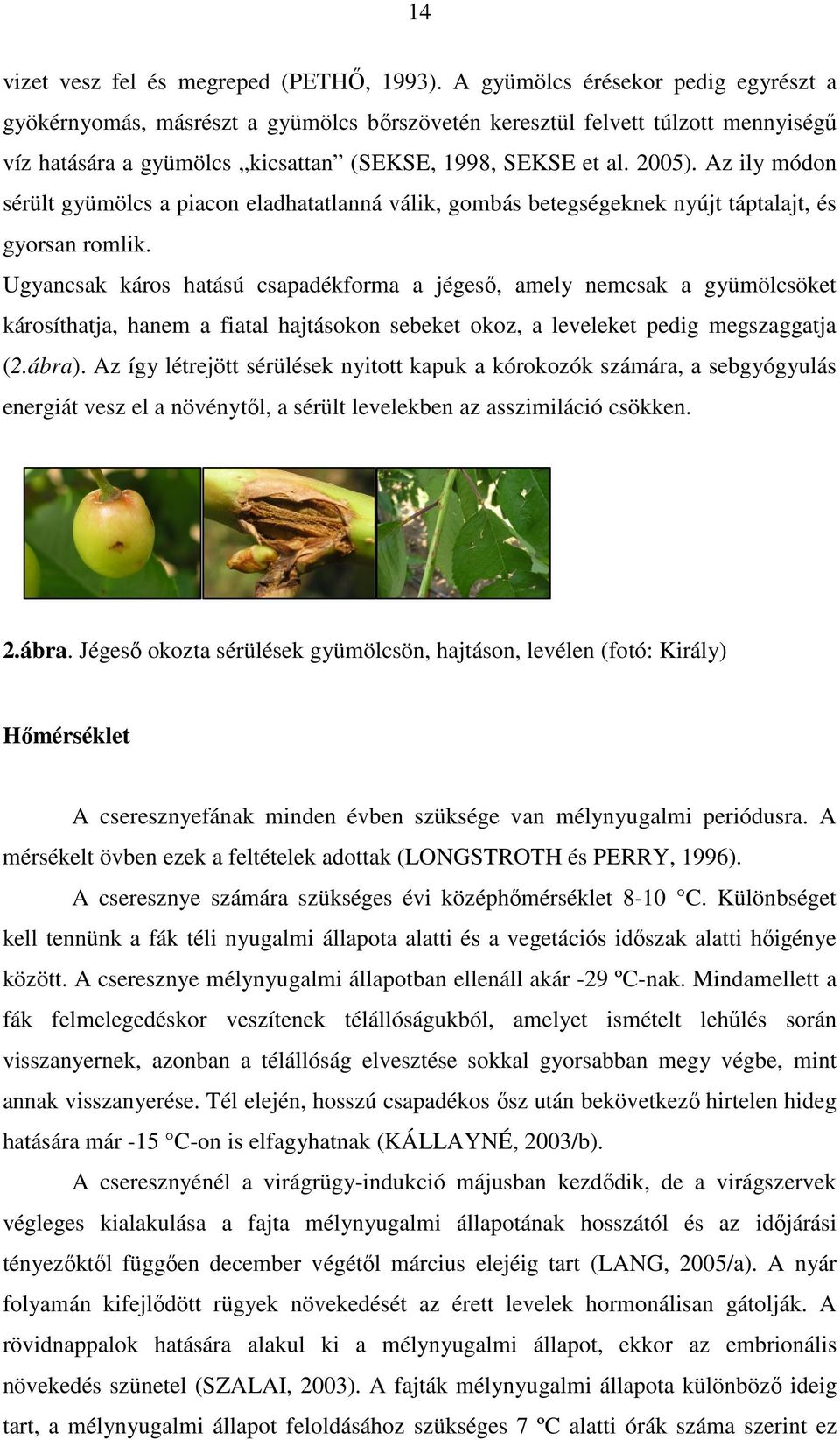 Az ily módon sérült gyümölcs a piacon eladhatatlanná válik, gombás betegségeknek nyújt táptalajt, és gyorsan romlik.