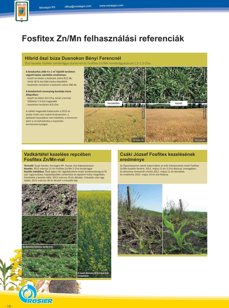 száma 588 db, A betakarított mennyiség kombájn tiszta állapotban: - kezelt területen 8,4 t/ha, tehát a termés többlete 5 %-kal magasabb - kezeletlen területen 8,0 t/ha A sokkal magasabb kalászszám a