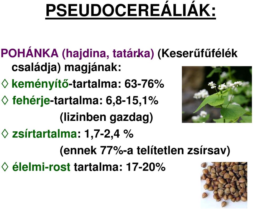 63-76% fehérje-tartalma: 6,8-15,1% (lizinben gazdag)
