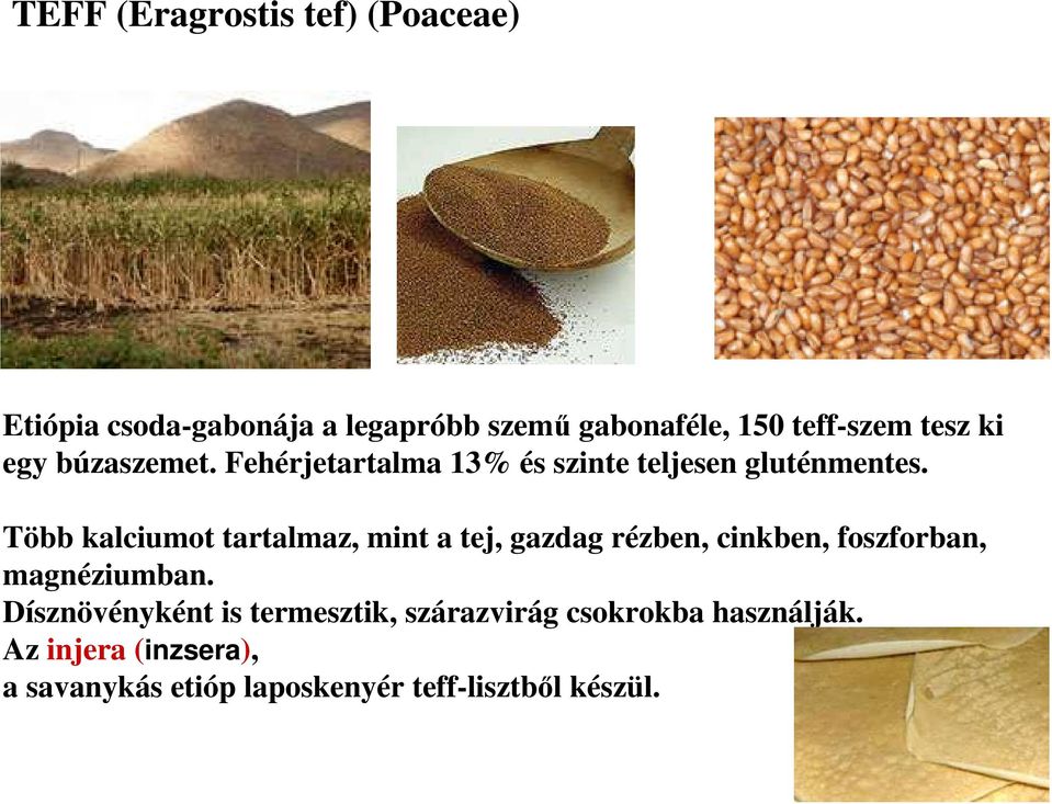 Több kalciumot tartalmaz, mint a tej, gazdag rézben, cinkben, foszforban, magnéziumban.