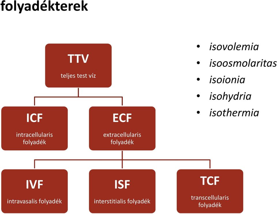 isoosmolaritas isoionia isohydria isothermia IVF