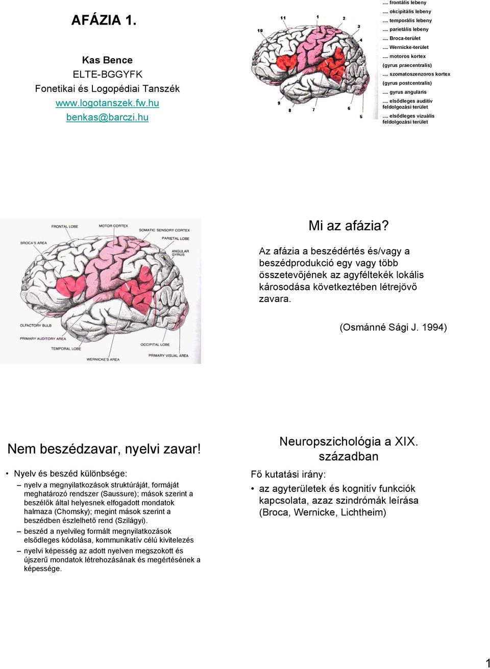 .. elsődleges vizuális feldolgozási terület Mi az afázia?