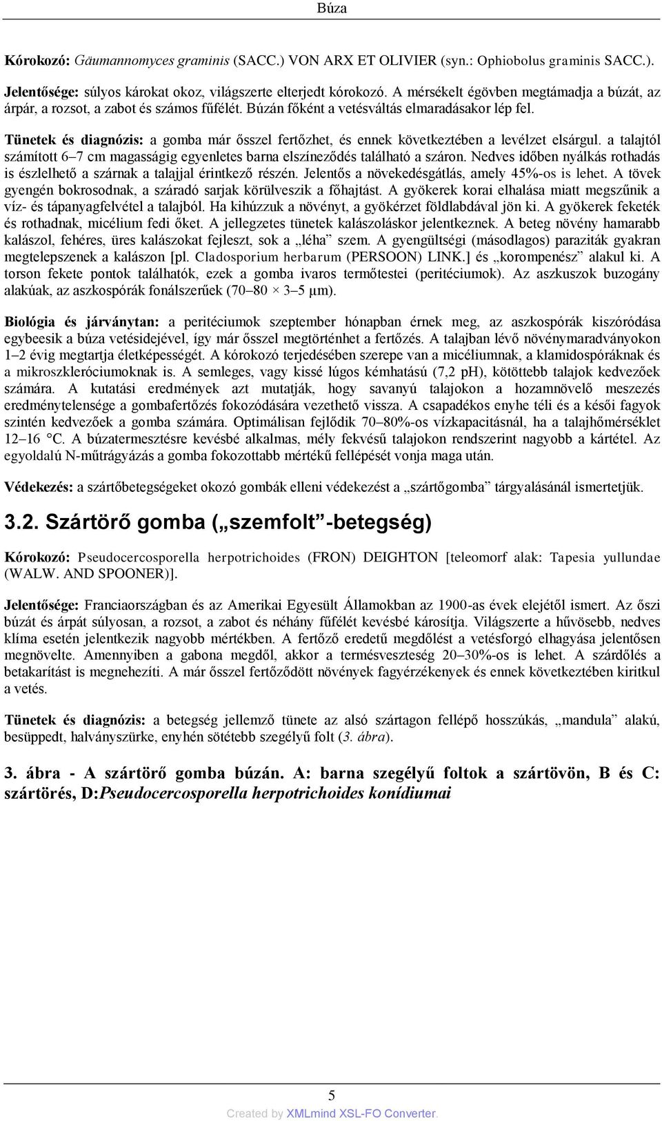 Tünetek és diagnózis: a gomba már ősszel fertőzhet, és ennek következtében a levélzet elsárgul. a talajtól számított 6 7 cm magasságig egyenletes barna elszíneződés található a száron.