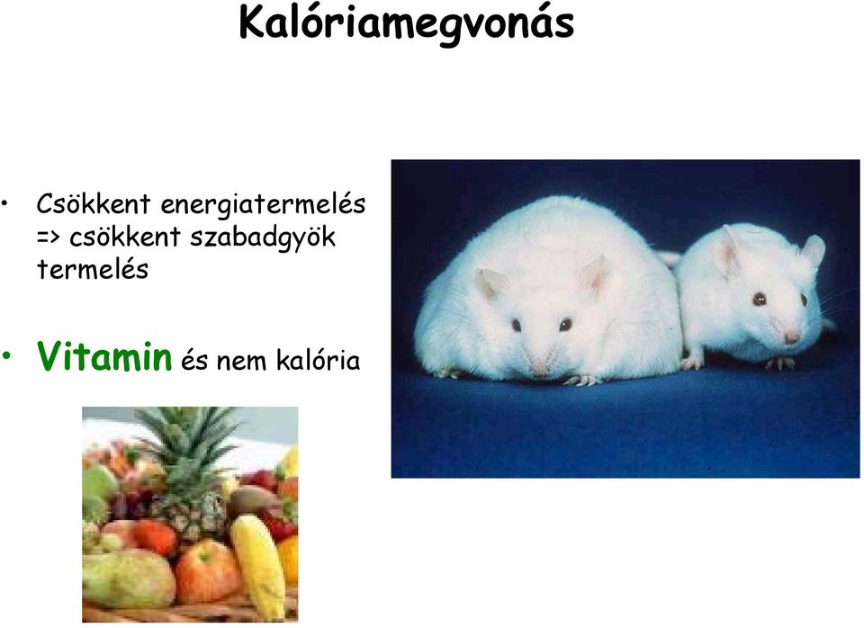 energiatermelés =>