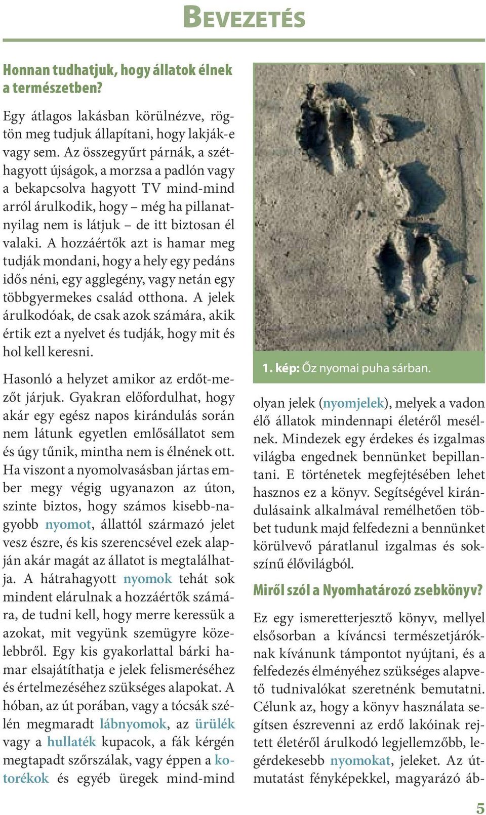 A hozzáértők azt is hamar meg tudják mondani, hogy a hely egy pedáns idős néni, egy agglegény, vagy netán egy többgyermekes család otthona.