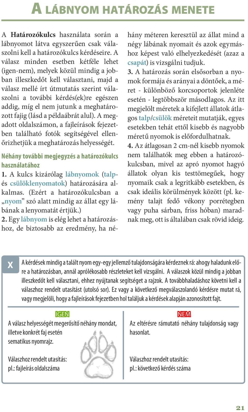 míg el nem jutunk a meghatározott fajig (lásd a példaábrát alul). A megadott oldalszámon, a fajleírások fejezetben található fotók segítségével ellenőrizhetjük a meghatározás helyességét.