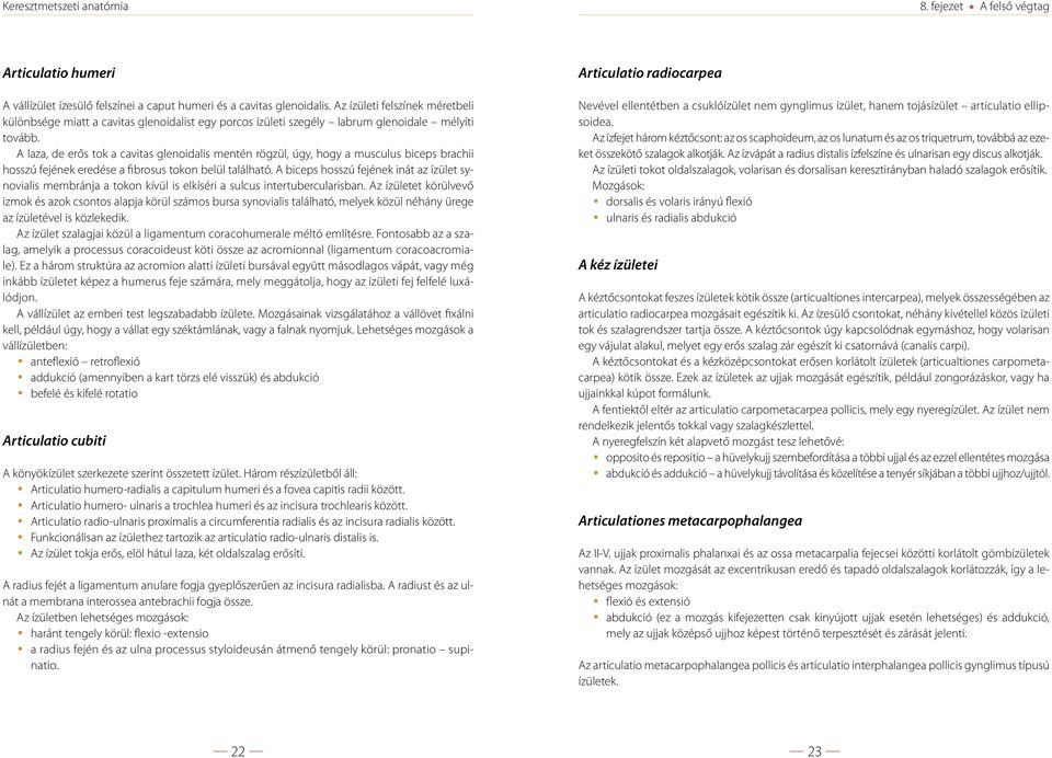 A laza, de erős tok a cavitas glenoidalis mentén rögzül, úgy, hogy a musculus biceps brachii hosszú fejének eredése a fibrosus tokon belül található.