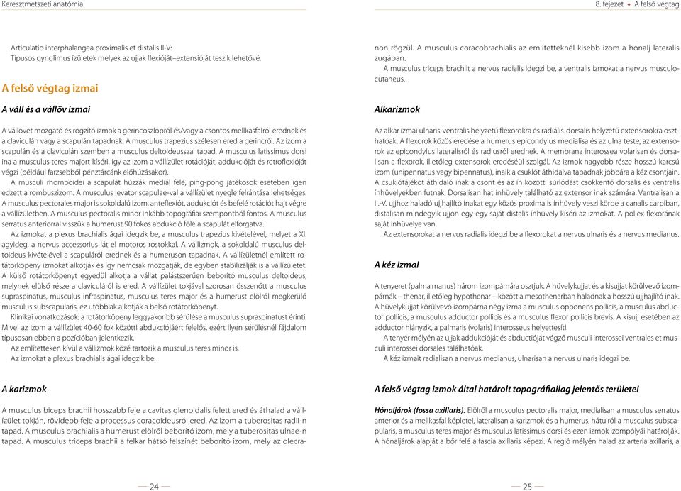 A musculus trapezius szélesen ered a gerincről. Az izom a scapulán és a claviculán szemben a musculus deltoideusszal tapad.