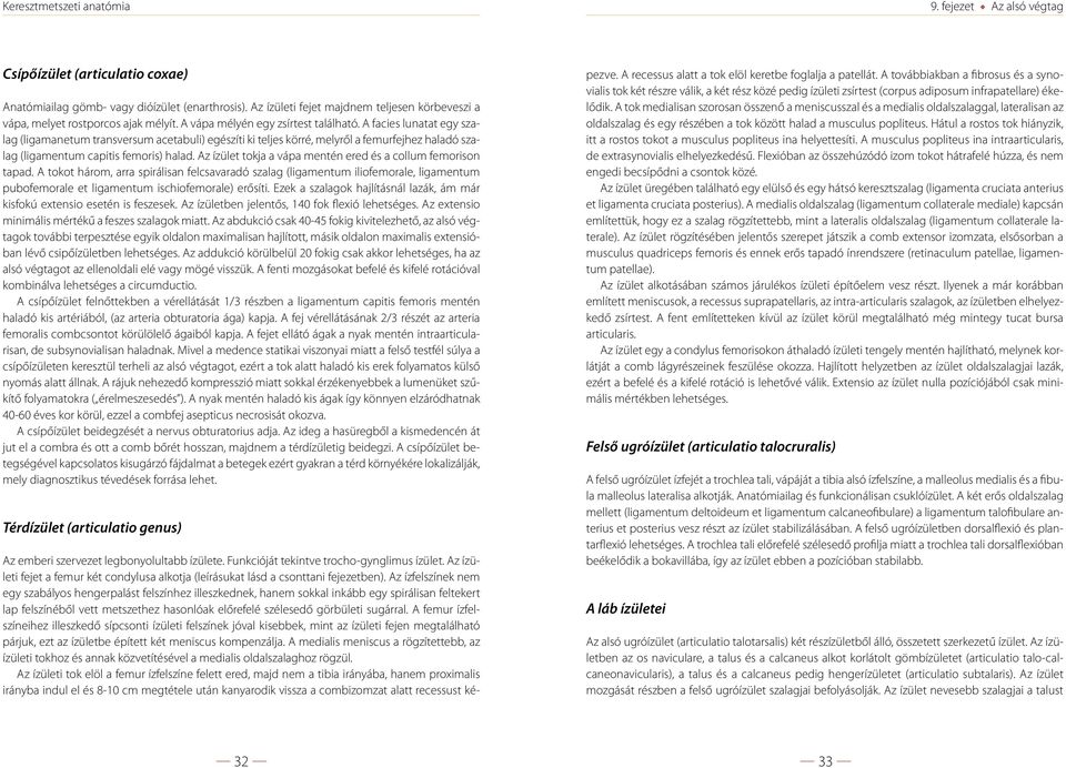 Az ízület tokja a vápa mentén ered és a collum femorison tapad.