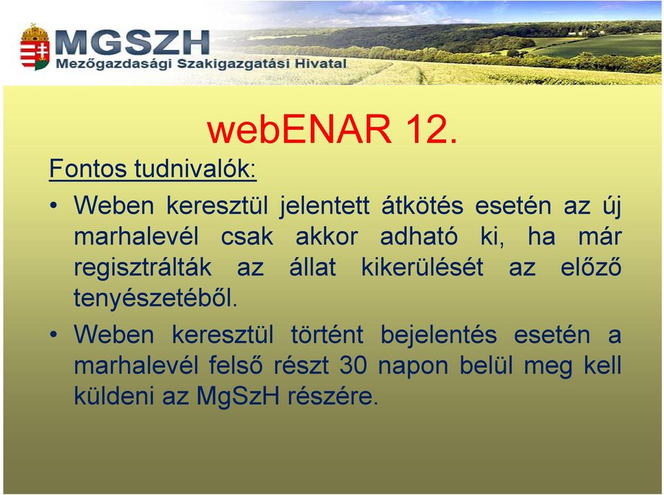 marhalevél csak akkor adható ki, ha már regisztrálták az állat