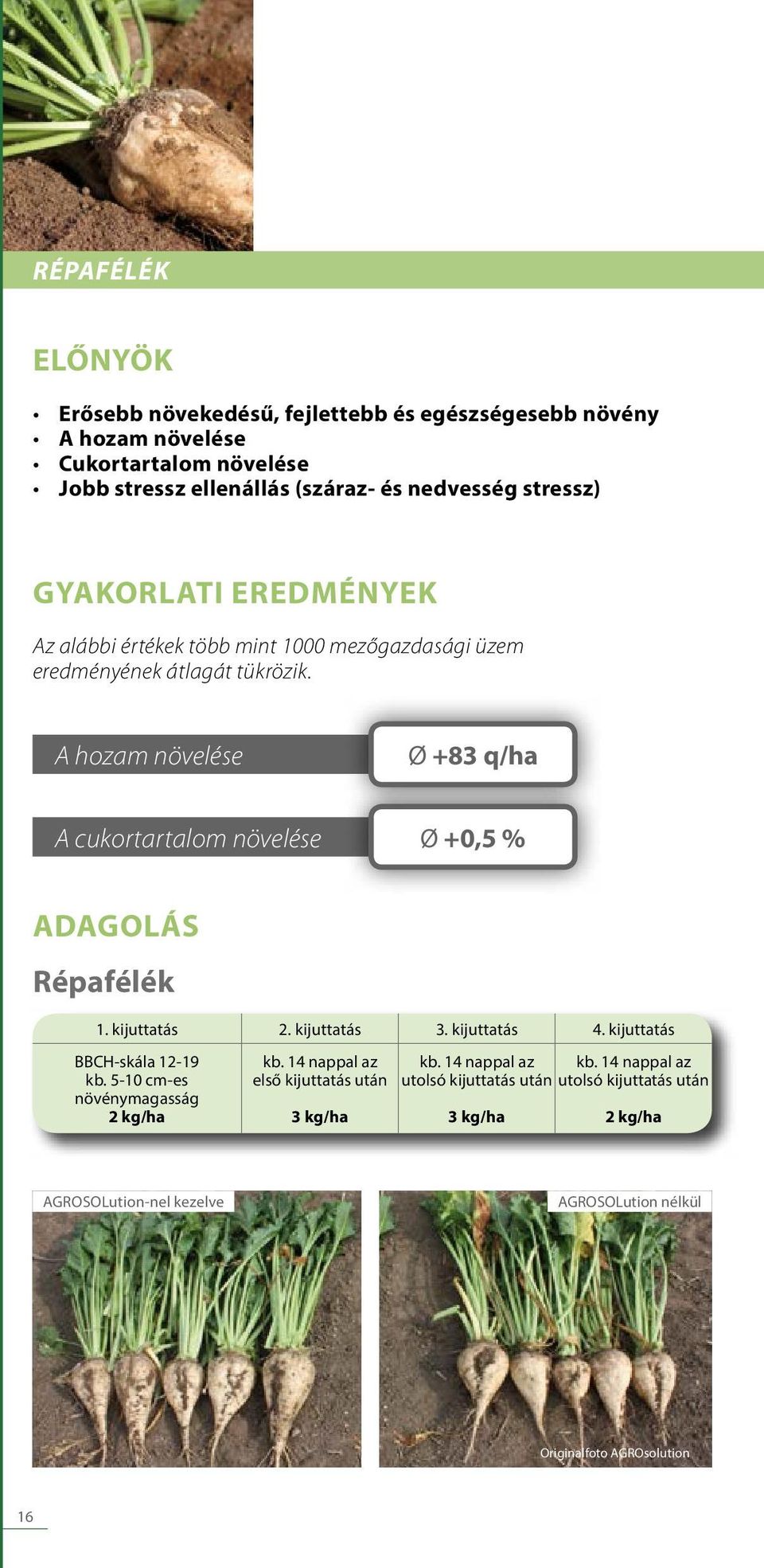 A hozam növelése Ø +83 q/ha A cukortartalom növelése Ø +0,5 % ADAGOLÁS Répafélék 1. kijuttatás 2. kijuttatás 3. kijuttatás 4. kijuttatás BBCH-skála 12-19 kb.