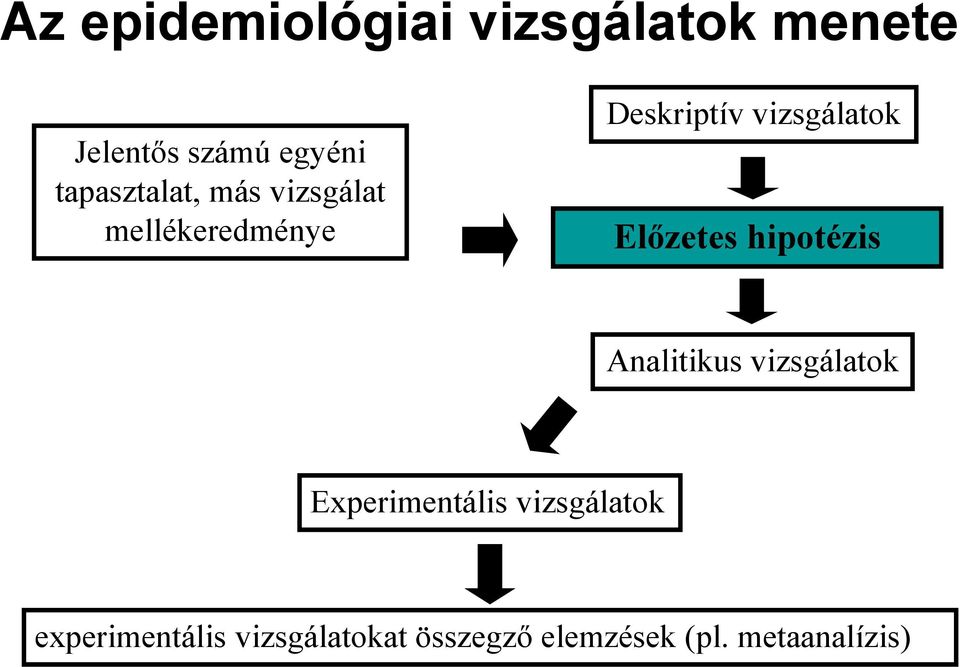 vizsgálatok Előzetes hipotézis Analitikus vizsgálatok