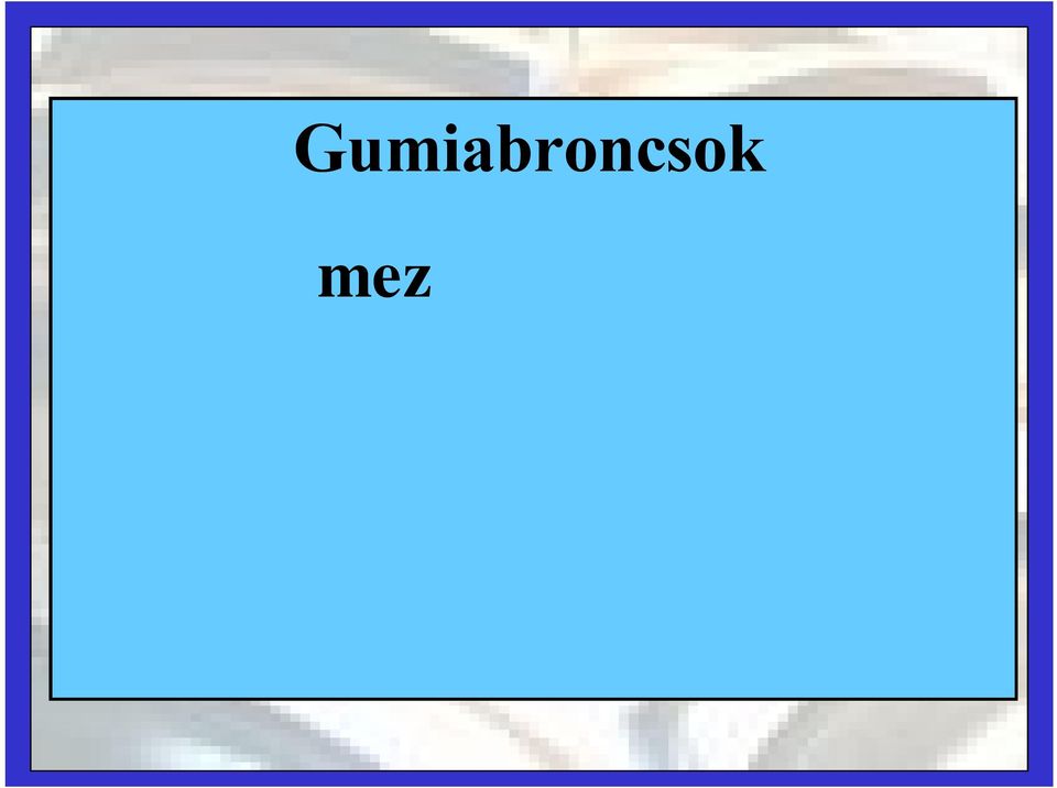 gazdasági erdészeti