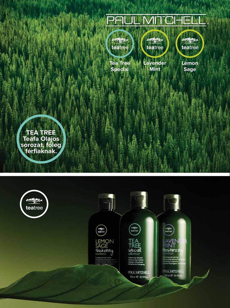 Sage TEA TREE Teafa