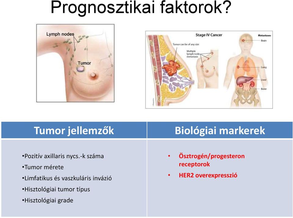 -k száma Tumor mérete Limfatikus és vaszkuláris invázió