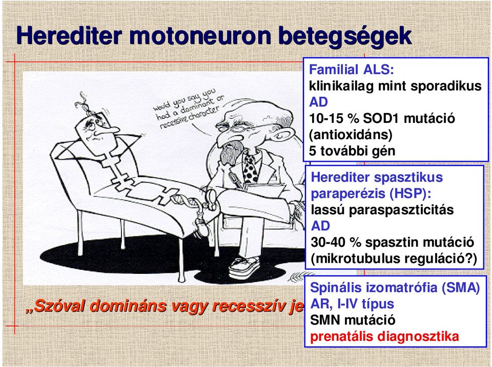 gén Herediter spasztikus paraperézis (HSP): lassú paraspaszticitás AD 30-40 % spasztin