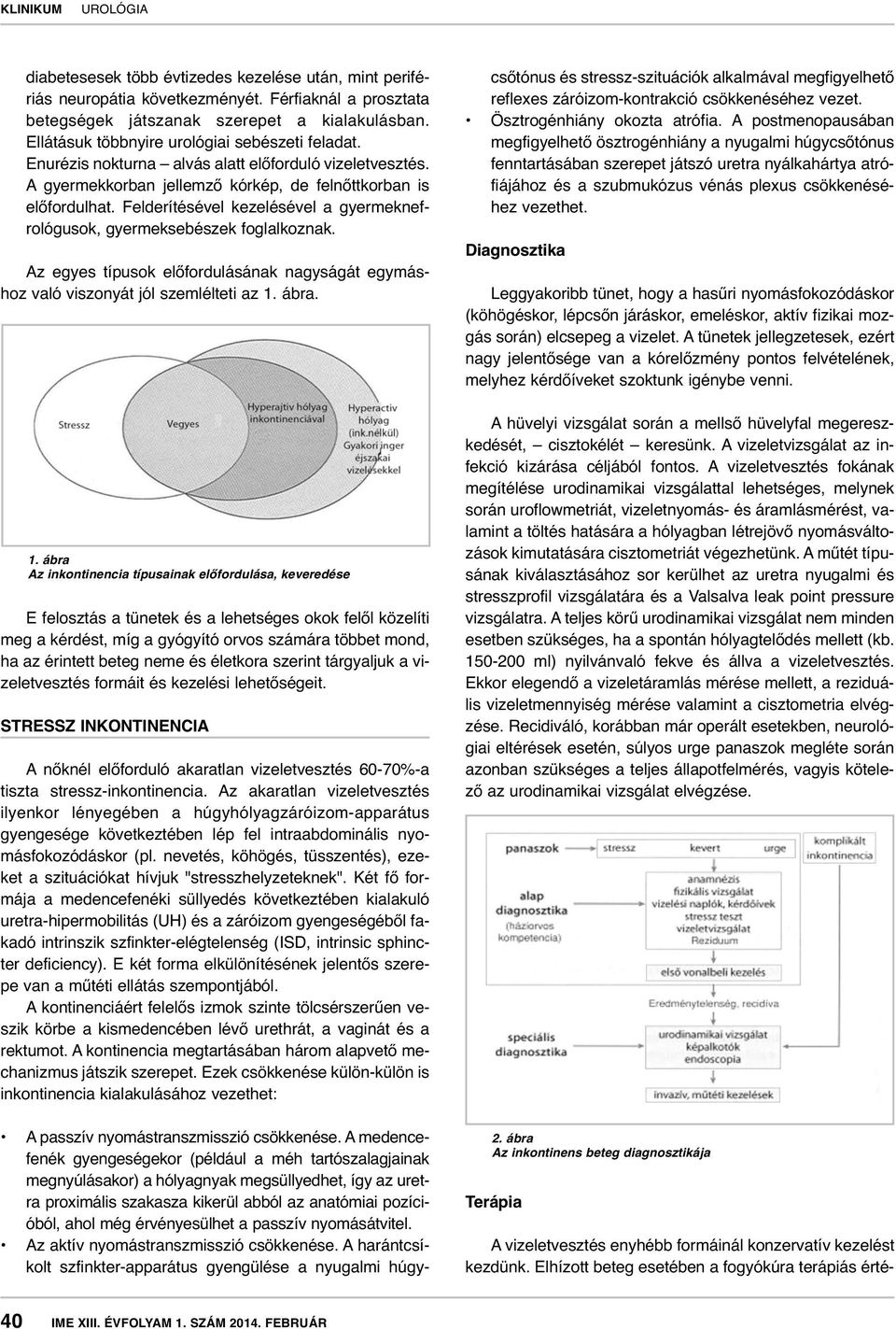 Felderítésével kezelésével a gyermeknefrológusok, gyermeksebészek foglalkoznak. Az egyes típusok előfordulásának nagyságát egymáshoz való viszonyát jól szemlélteti az 1.