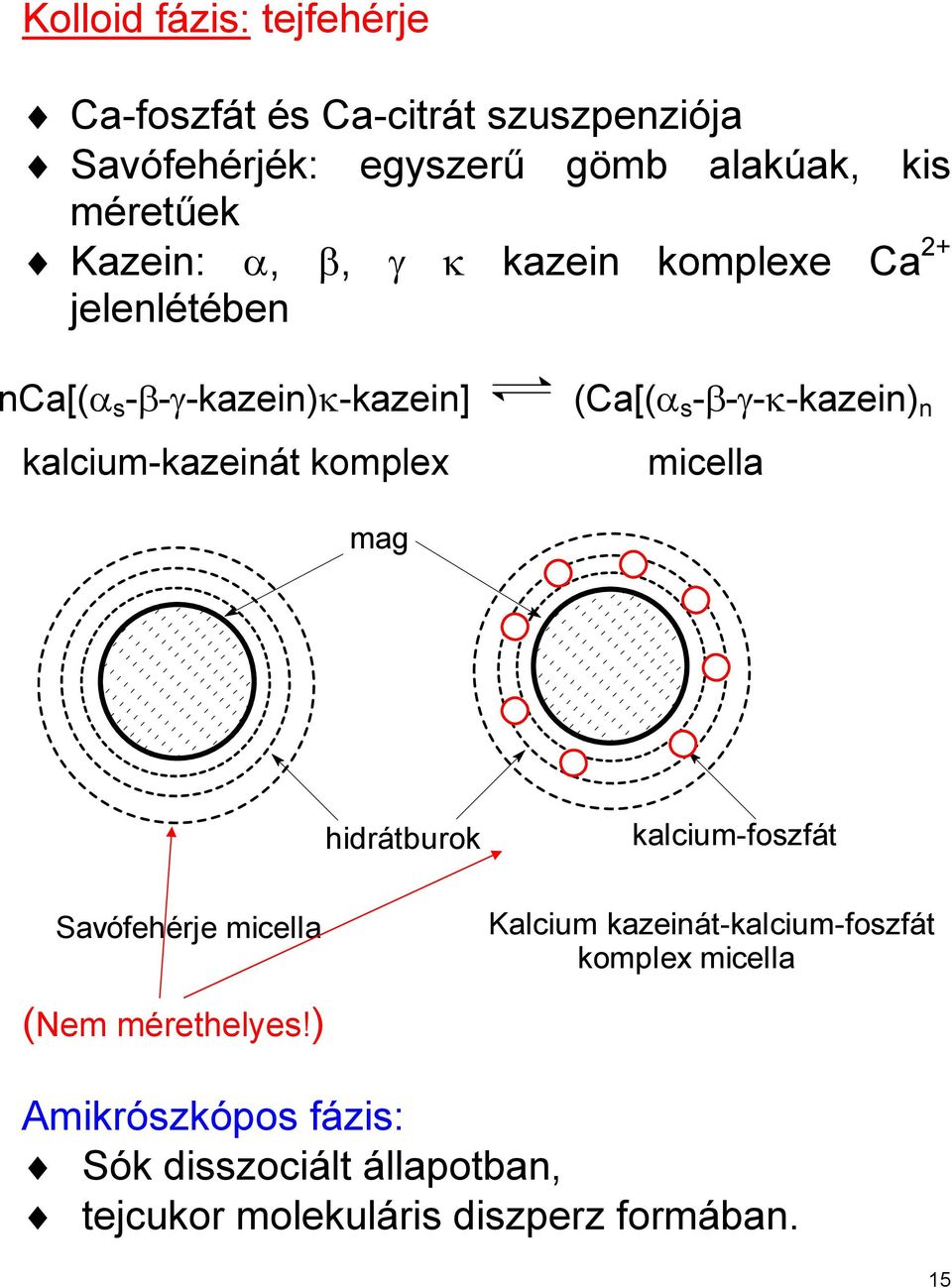 s -β-γ-κ-kazein) n micella mag hidrátburok kalcium-foszfát Savófehérje micella Kalcium kazeinát-kalcium-foszfát