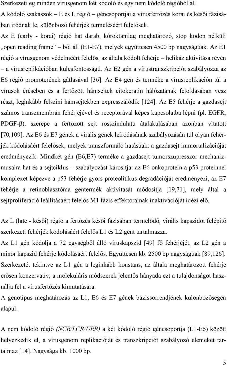 Az E (early - korai) régió hat darab, kóroktanilag meghatározó, stop kodon nélküli open reading frame ből áll (E1-E7), melyek együttesen 4500 bp nagyságúak.