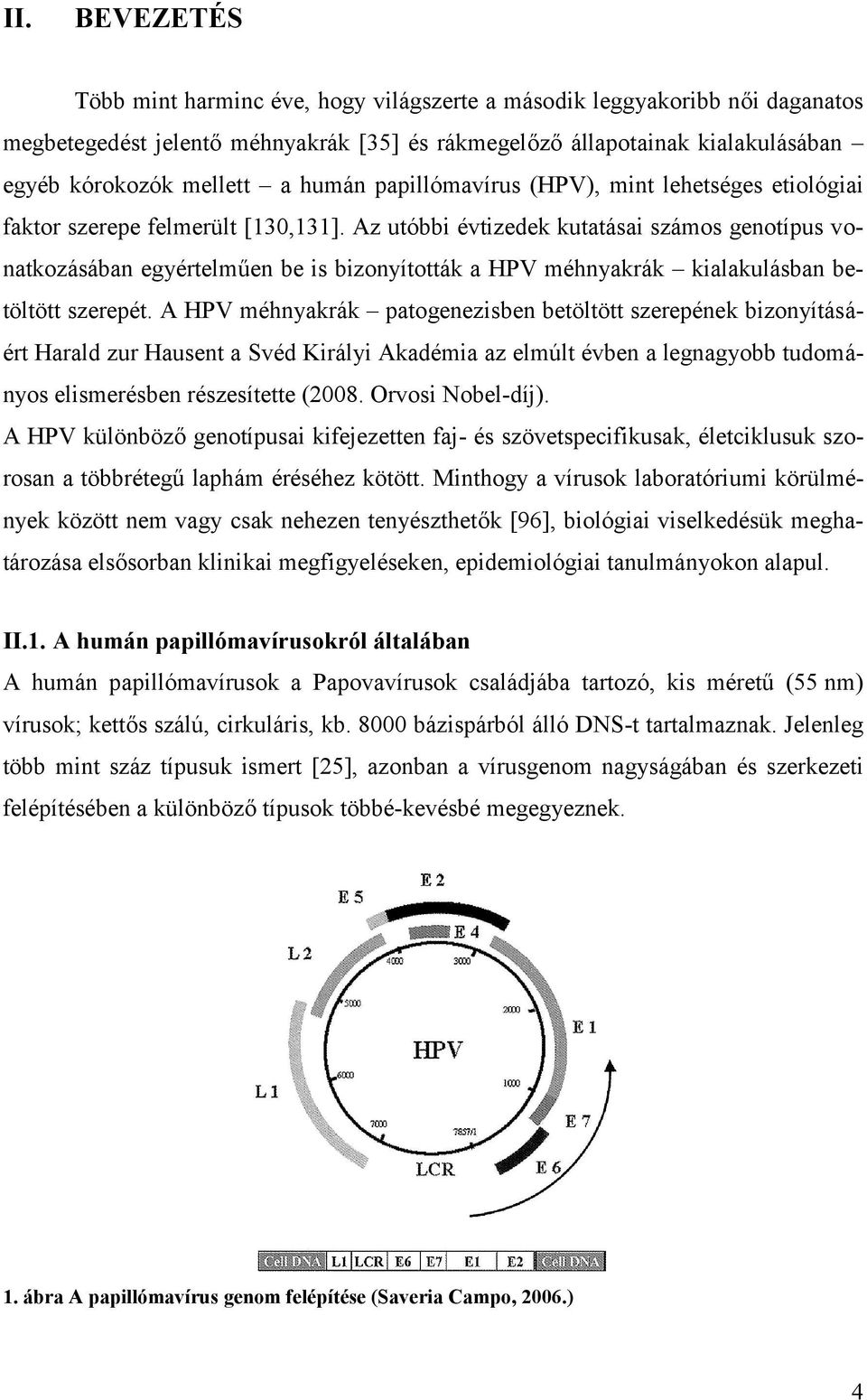 Az utóbbi évtizedek kutatásai számos genotípus vonatkozásában egyértelműen be is bizonyították a HPV méhnyakrák kialakulásban betöltött szerepét.