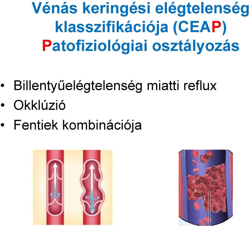 Patofiziológiai osztályozás