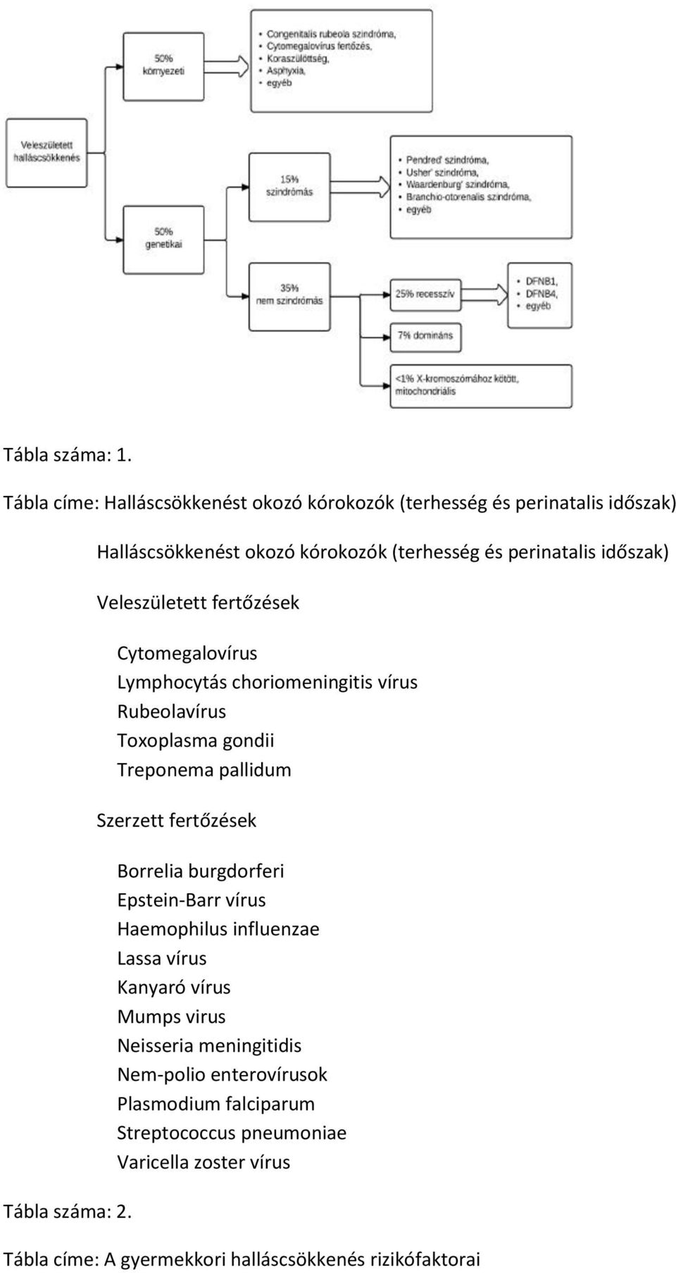 Rubeolavírus Toxoplasma gondii Treponema pallidum Szerzett fertőzések Borrelia burgdorferi Epstein-Barr vírus Haemophilus influenzae Lassa vírus