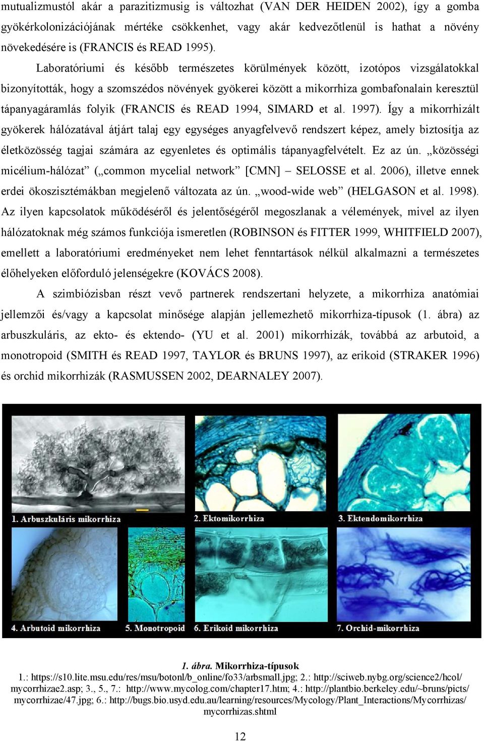 Laboratóriumi és később természetes körülmények között, izotópos vizsgálatokkal bizonyították, hogy a szomszédos növények gyökerei között a mikorrhiza gombafonalain keresztül tápanyagáramlás folyik