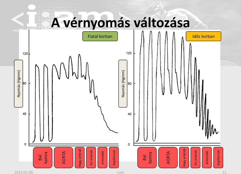 vérnyomás változása Fiatal korban Idős korban 2013.01.09.