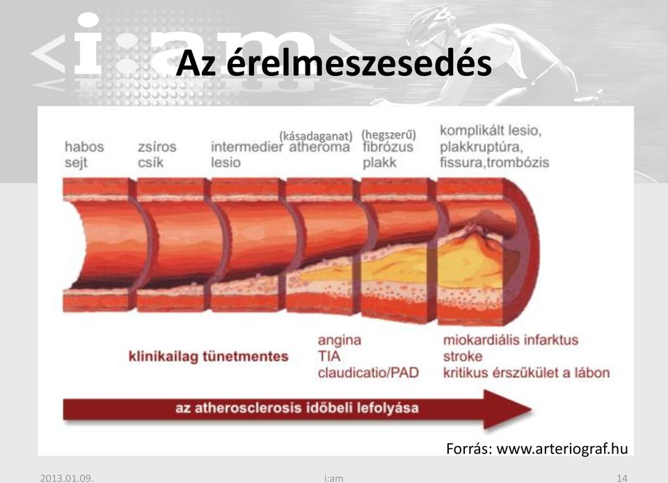 (hegszerű) Forrás: www.