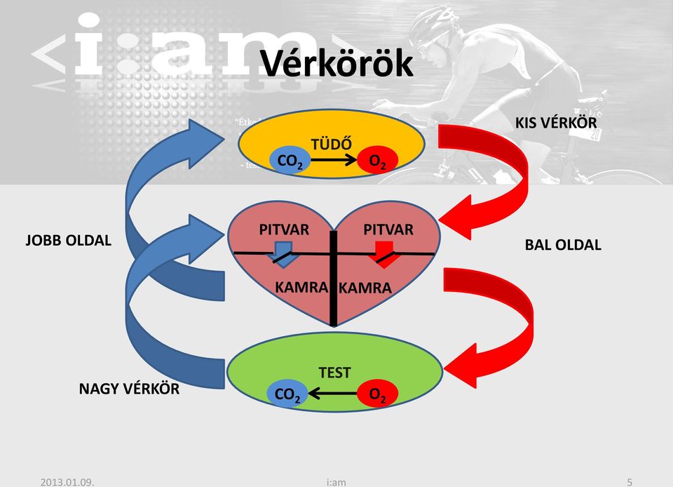 OLDAL KAMRA KAMRA TEST NAGY