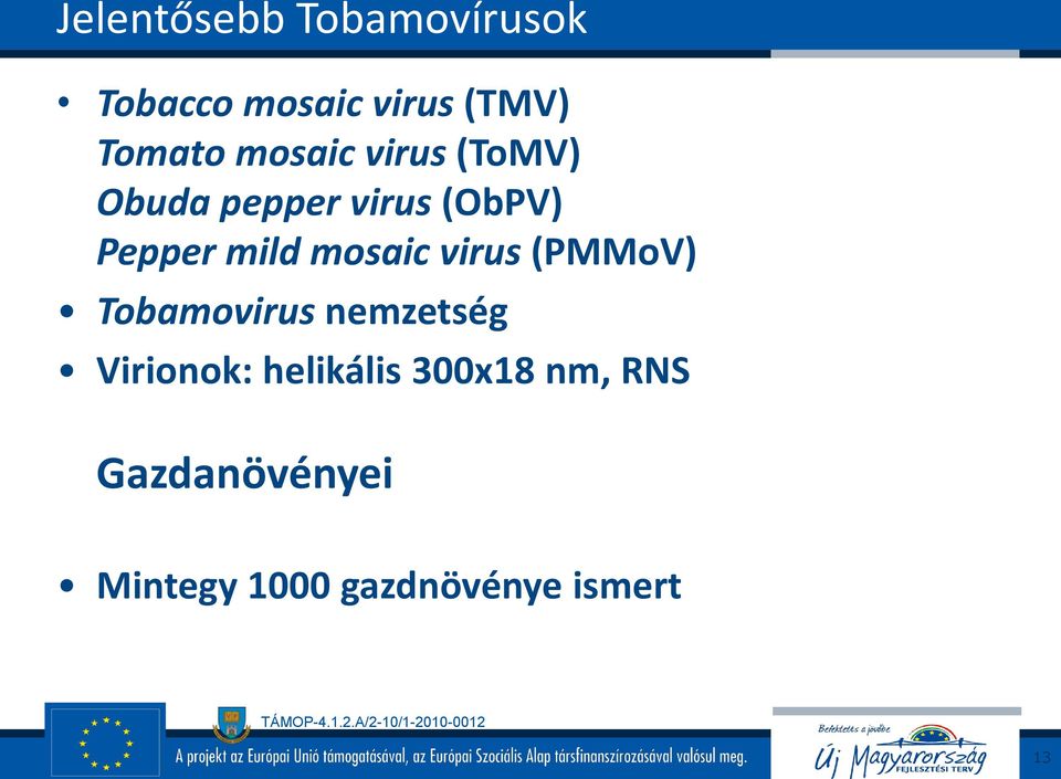 mosaic virus (PMMoV) Tobamovirus nemzetség Virionok:
