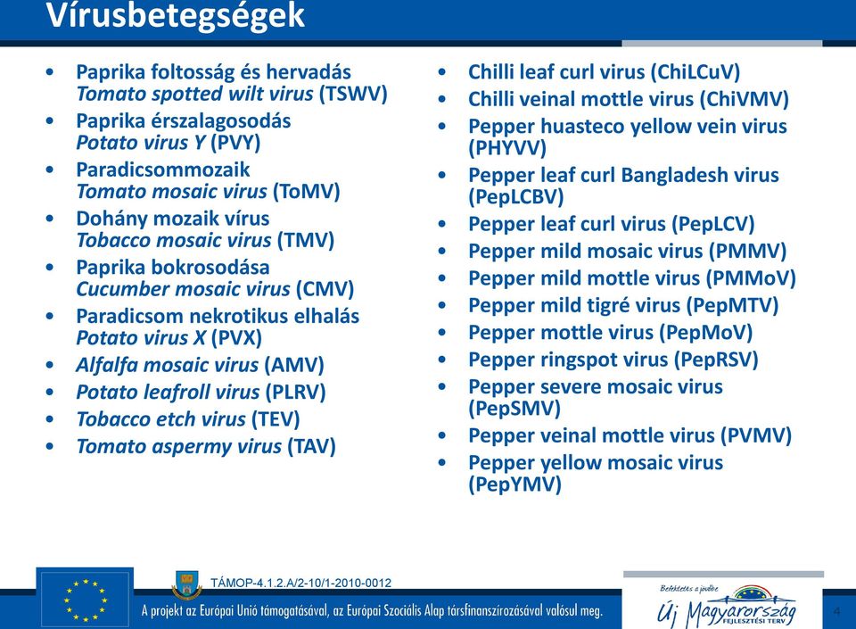 Tomato aspermy virus (TAV) Chilli leaf curl virus (ChiLCuV) Chilli veinal mottle virus (ChiVMV) Pepper huasteco yellow vein virus (PHYVV) Pepper leaf curl Bangladesh virus (PepLCBV) Pepper leaf curl