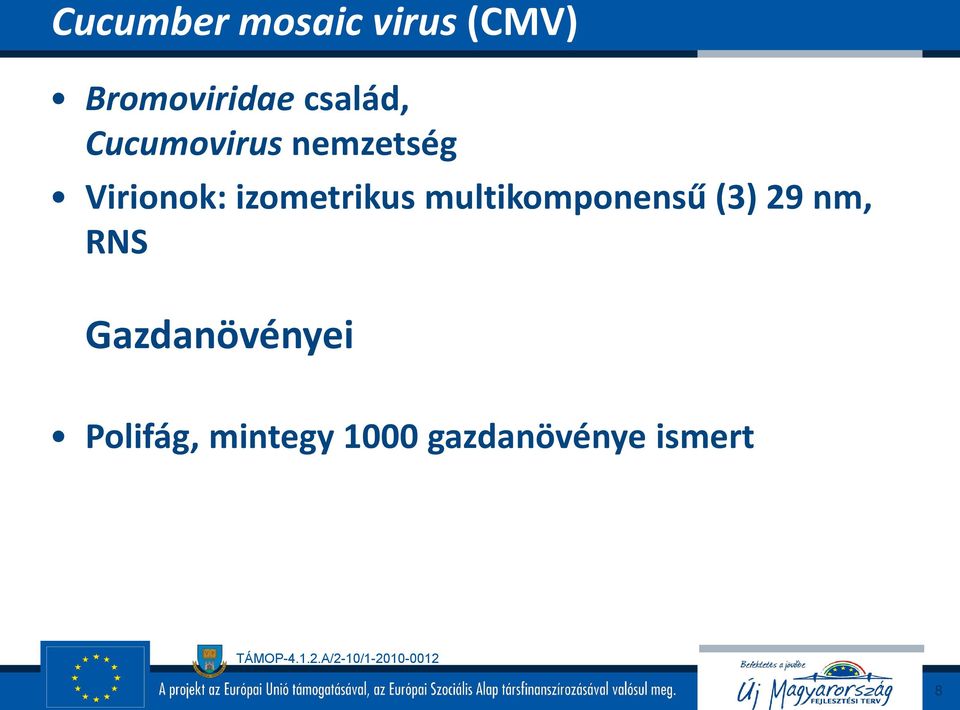 izometrikus multikomponensű (3) 29 nm, RNS