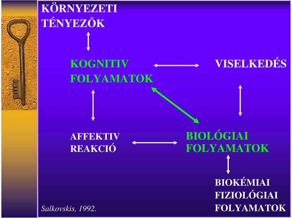 REAKCIÓ BIOLÓGIAI FOLYAMATOK