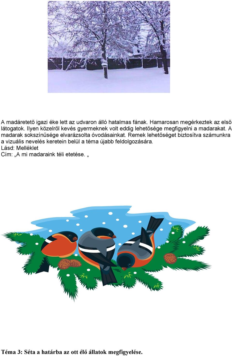 A madarak sokszínűsége elvarázsolta óvodásainkat.