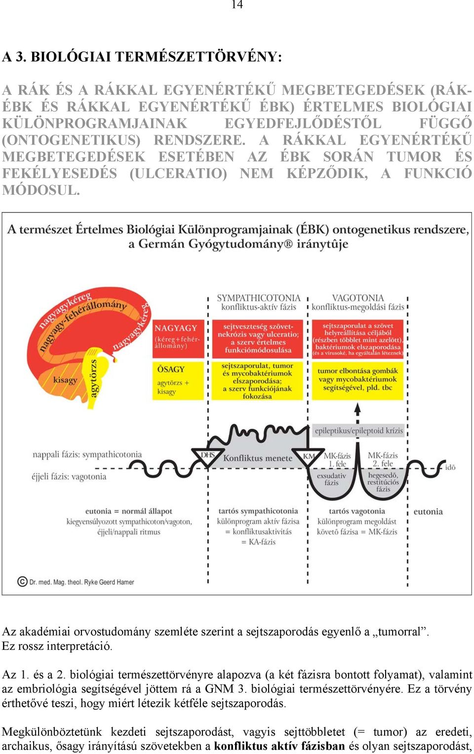 A RÁKKAL EGYENÉRTÉKŰ MEGBETEGEDÉSEK ESETÉBEN AZ ÉBK SORÁN TUMOR ÉS FEKÉLYESEDÉS (ULCERATIO) NEM KÉPZŐDIK, A FUNKCIÓ MÓDOSUL.