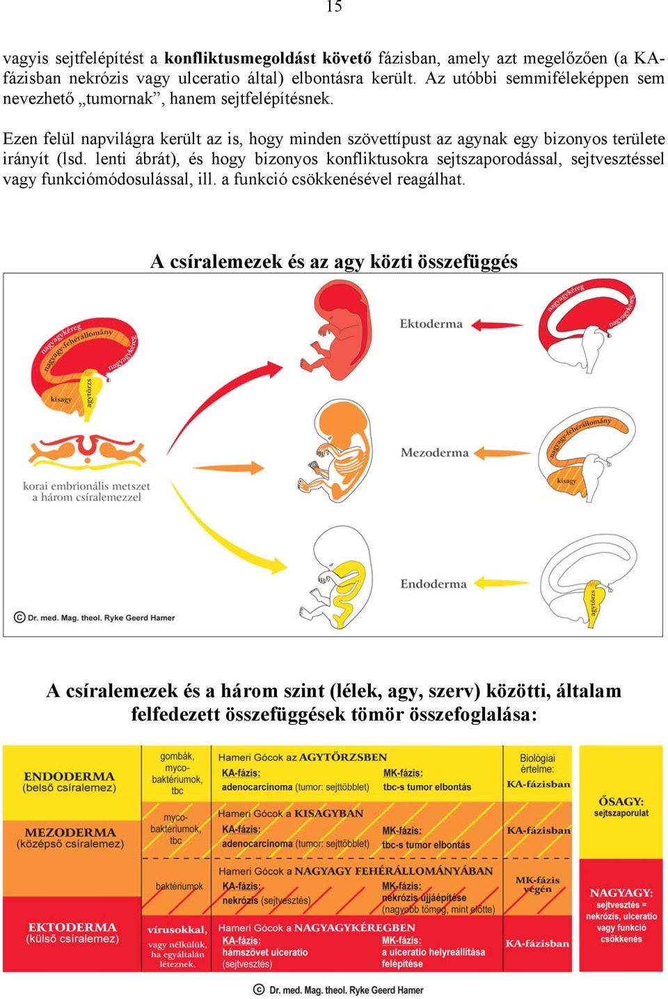 Ezen felül napvilágra került az is, hogy minden szövettípust az agynak egy bizonyos területe irányít (lsd.