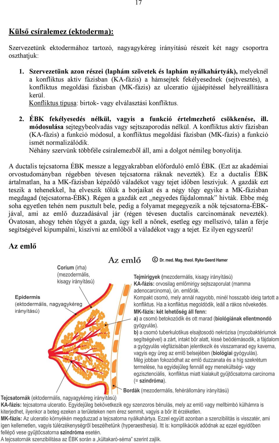 (MK-fázis) az ulceratio újjáépítéssel helyreállításra kerül. Konfliktus típusa: birtok- vagy elválasztási konfliktus. 2. ÉBK fekélyesedés nélkül, vagyis a funkció értelmezhető csökkenése, ill.