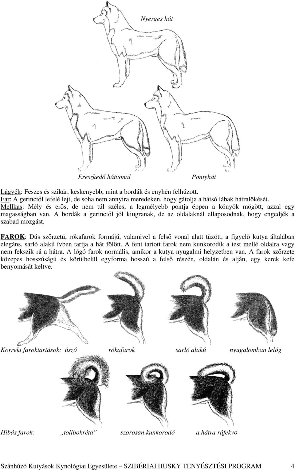 Szánhúzó Kutyások Kynológiai Egyesülete SZIBÉRIAI HUSKY fajta TENYÉSZTÉSI  PROGRAMJA - PDF Free Download