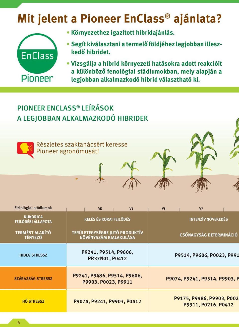 PIONEER ENCLASS LEÍRÁSOK A LEGJOBBAN ALKALMAZKODÓ HIBRIDEK Részletes szaktanácsért keresse Pioneer agronómusát!