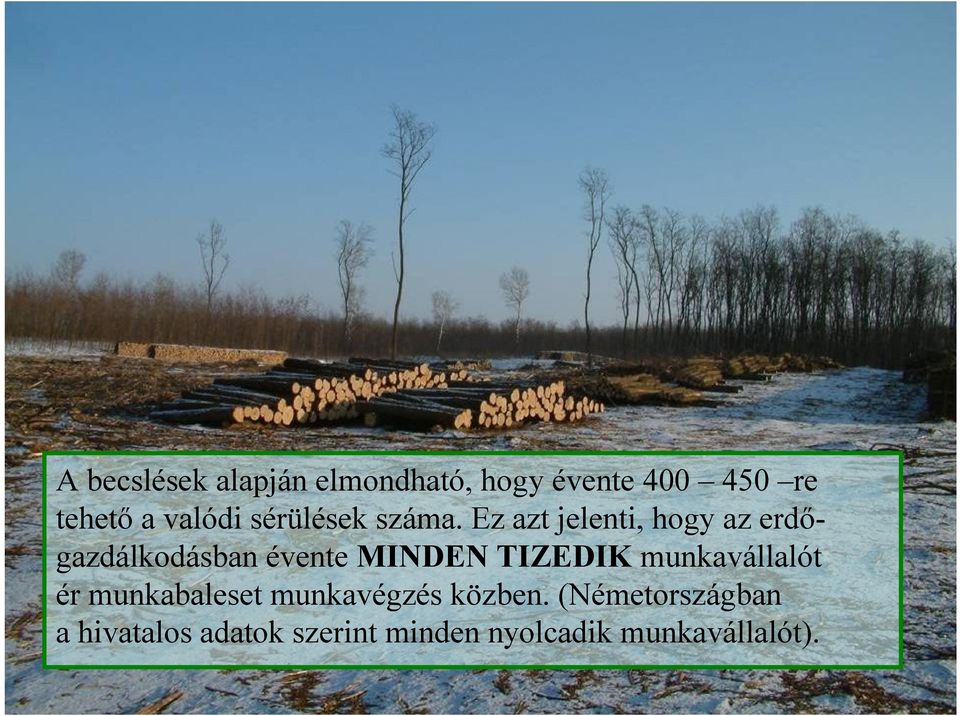 Ez azt jelenti, hogy az erdőgazdálkodásban évente MINDEN TIZEDIK