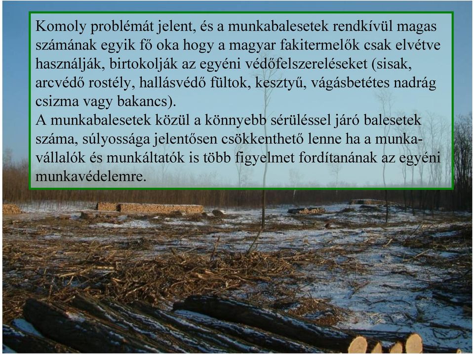 vágásbetétes nadrág csizma vagy bakancs).