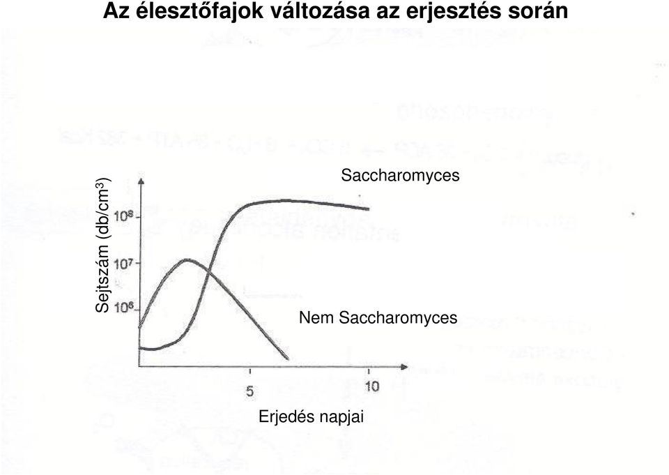 (db/cm 3 ) Saccharomyces