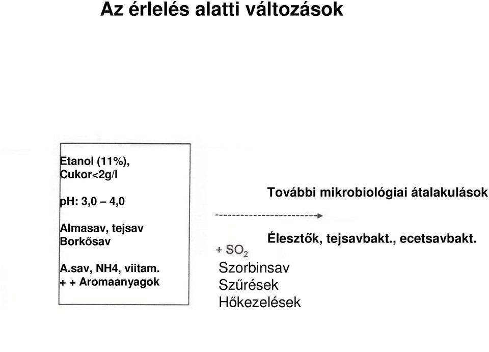 + + Aromaanyagok Szorbinsav Szűrések Hőkezelések További