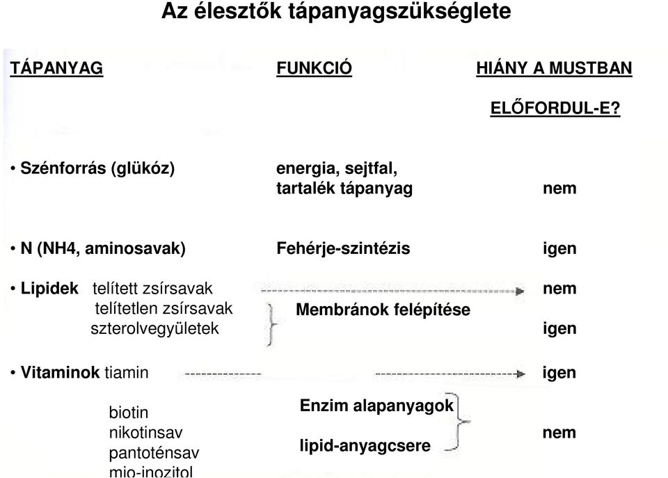 Fehérje-szintézis igen Lipidek telített zsírsavak telítetlen zsírsavak szterolvegyületek